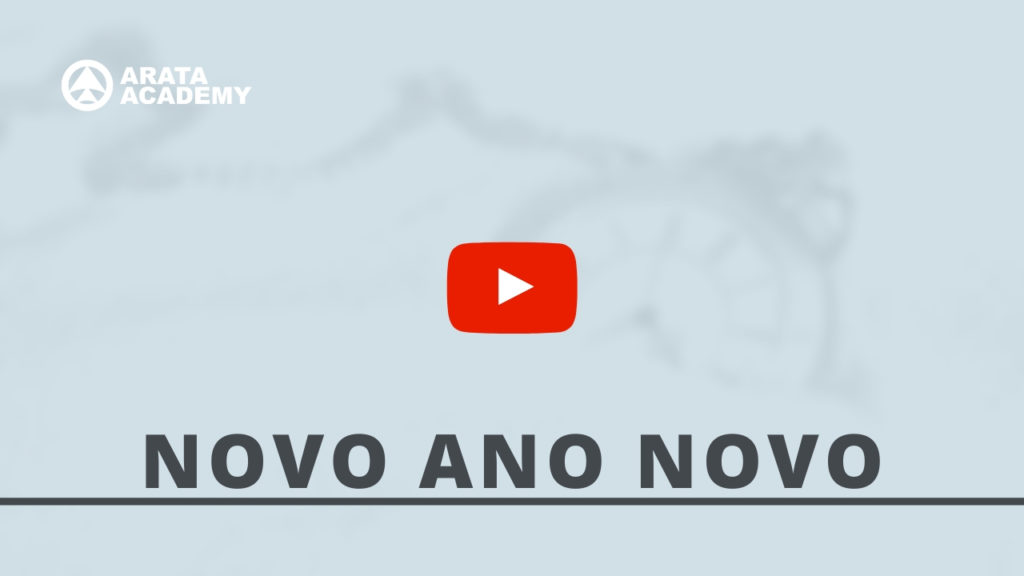 Novo Ano Novo Seiiti Arata, Arata Academy